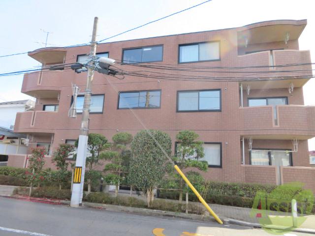 クリアセレーノ