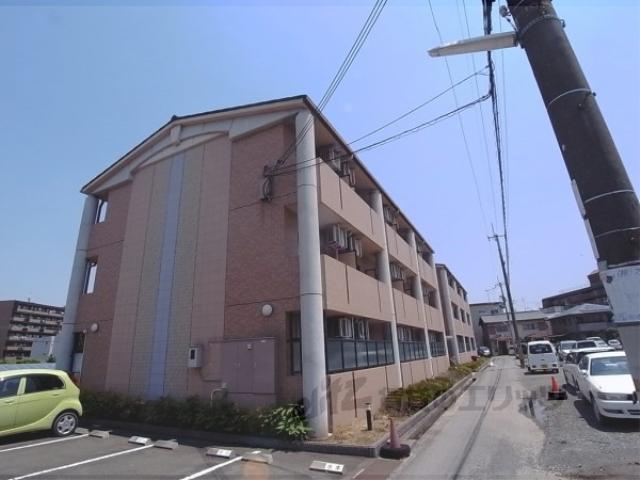 クローバー36