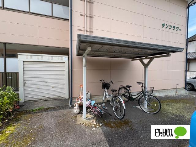 サンフラワー