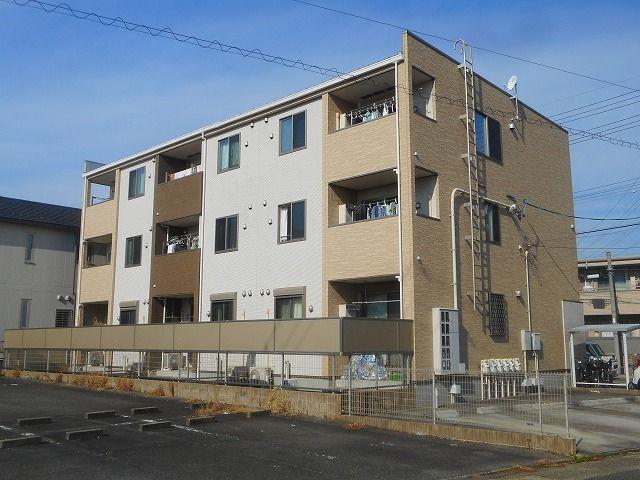 プリムローズ M
