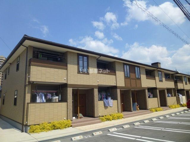 イリス B