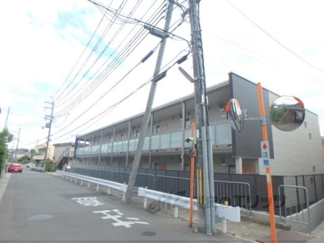 クレイノゆずりは
