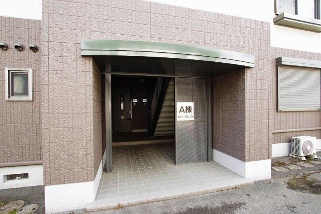 エバーグリーンA