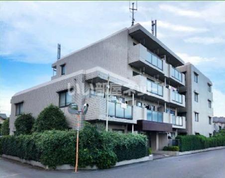 サエラ宮原
