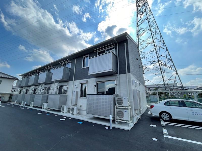 どんぐり3号