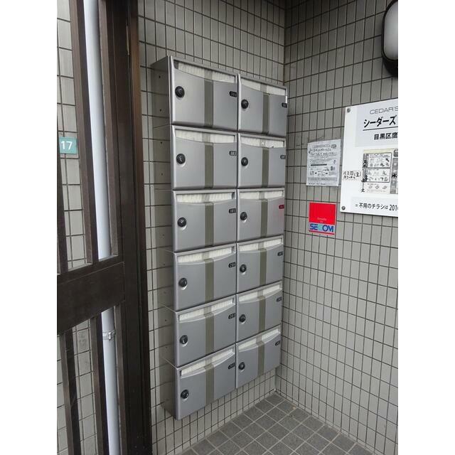 シーダーズフォレスト