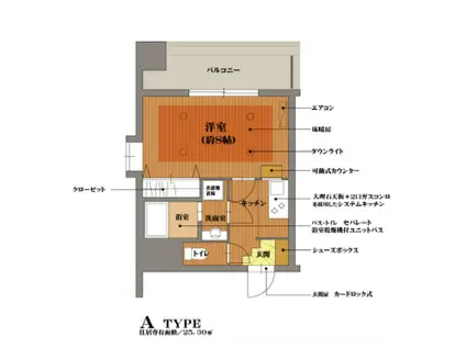 MSPALAZZO(1K/10階)の間取り写真