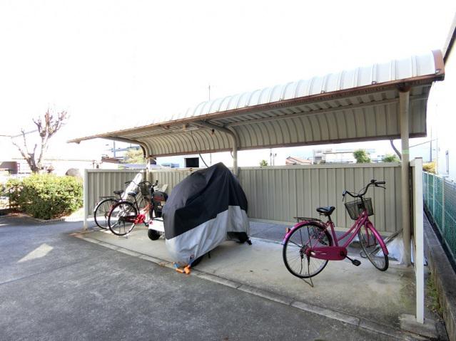 シャイニーSHIBATAI