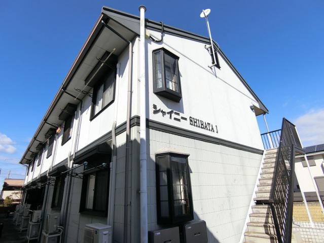 シャイニーSHIBATAI
