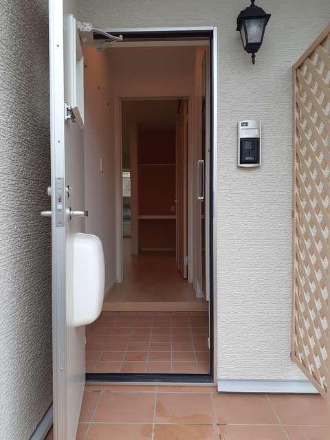 SCHON V