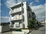 スカイビュー