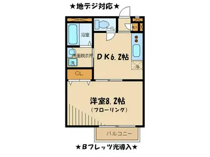 アムール マレ(1DK/1階)の間取り写真