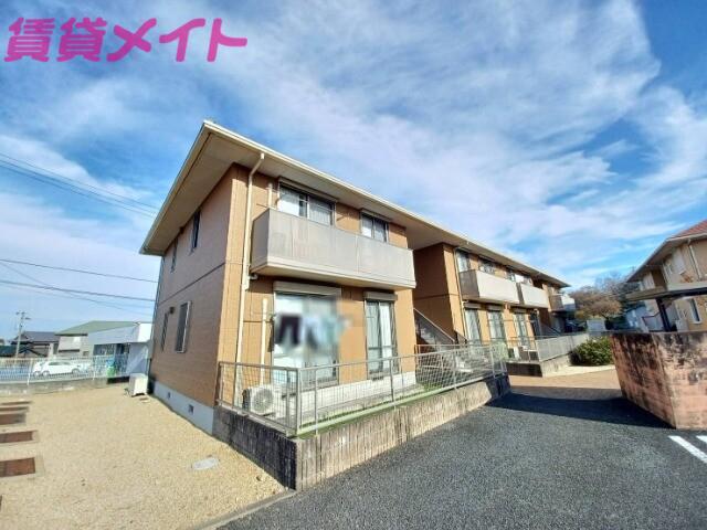 ミズキ A