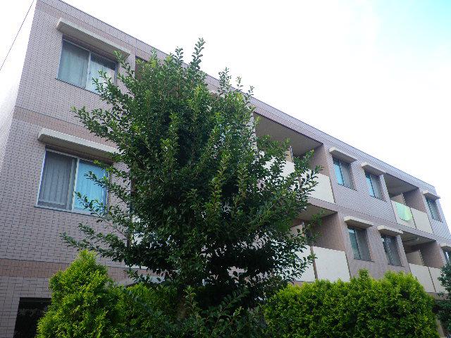 ノーザンハウス