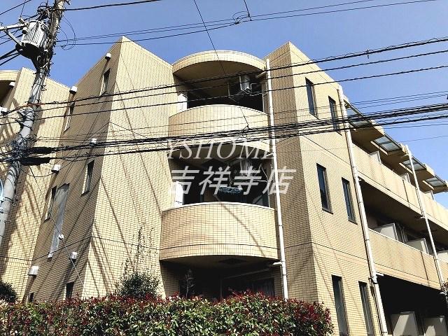 アカンサス