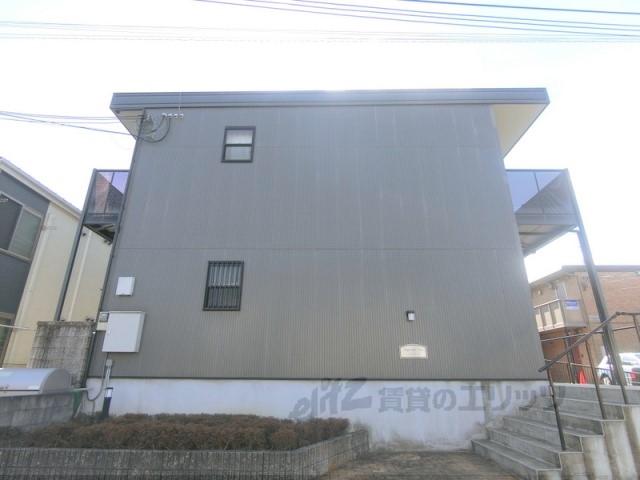 アンプルールチェリー