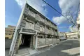 パインリッチ