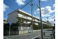 オリーブガーデン