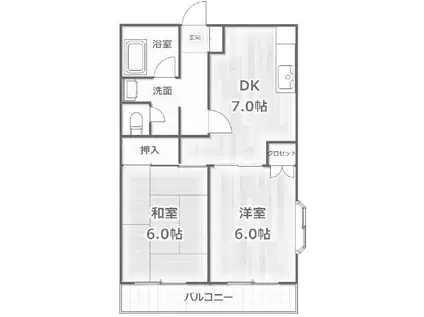 スカイマンション(2DK/1階)の間取り写真