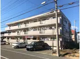 ロベリア山崎