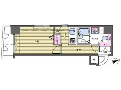 フェニックス新宿若松町(1K/8階)の間取り写真