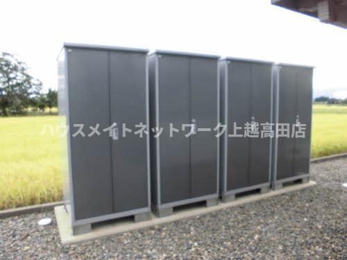 ラフィード