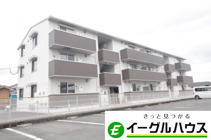 D-ROOM来春