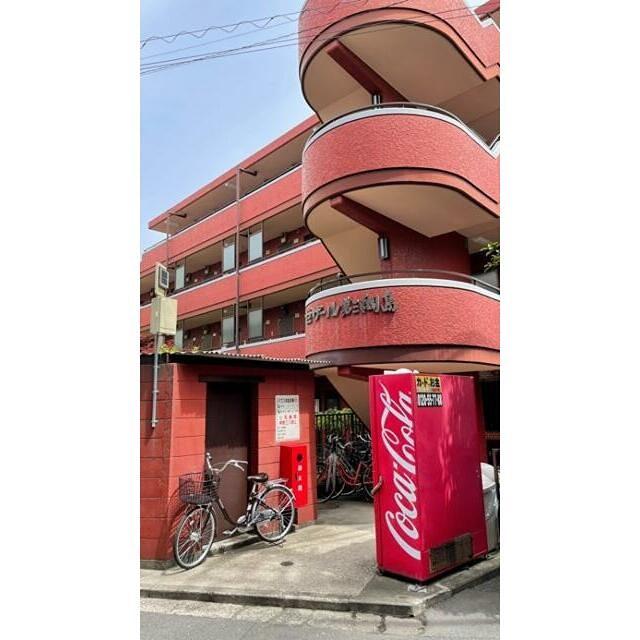 セザール第3綱島