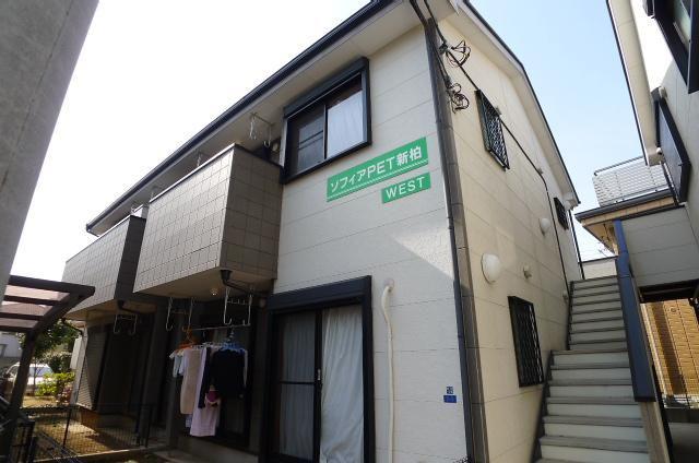ソフィアPET新柏
