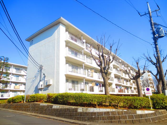 田園青葉台団地17号棟(3DK/2階)