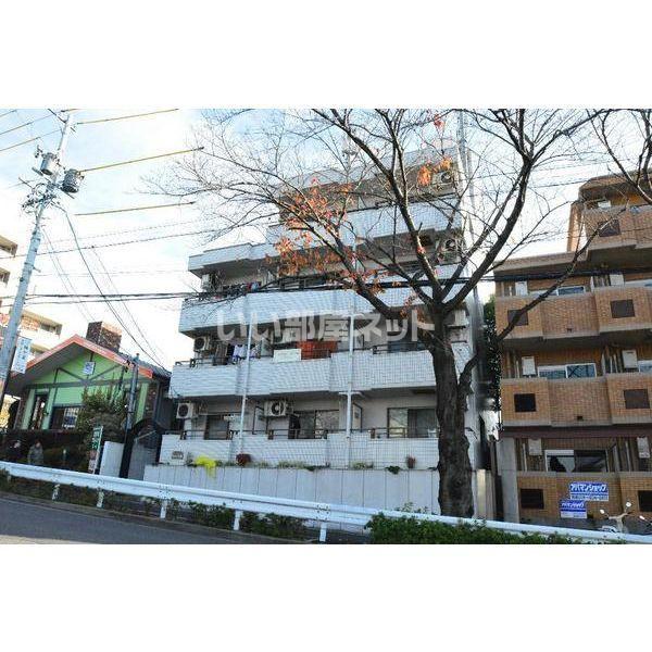 グレイス桜