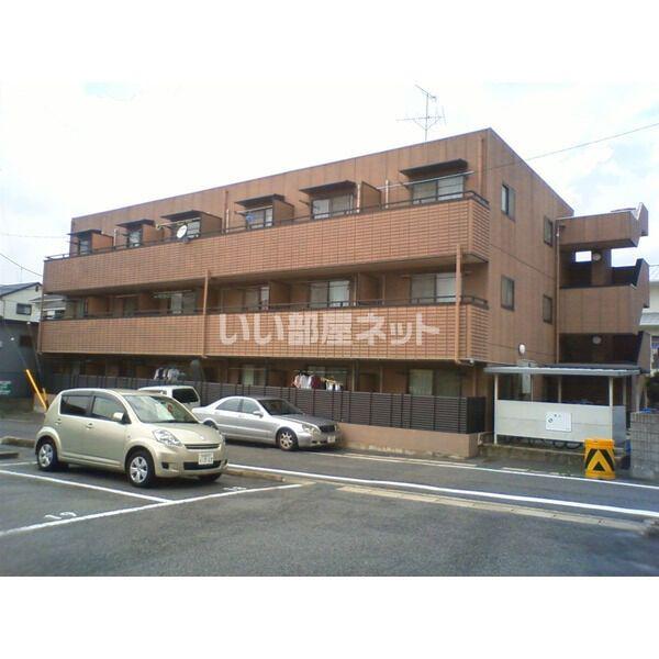 オータムライトⅤ