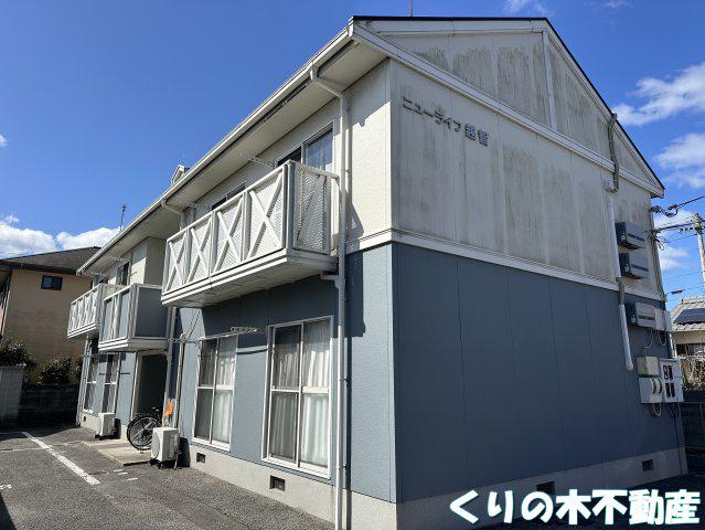 ニューライフ・越智