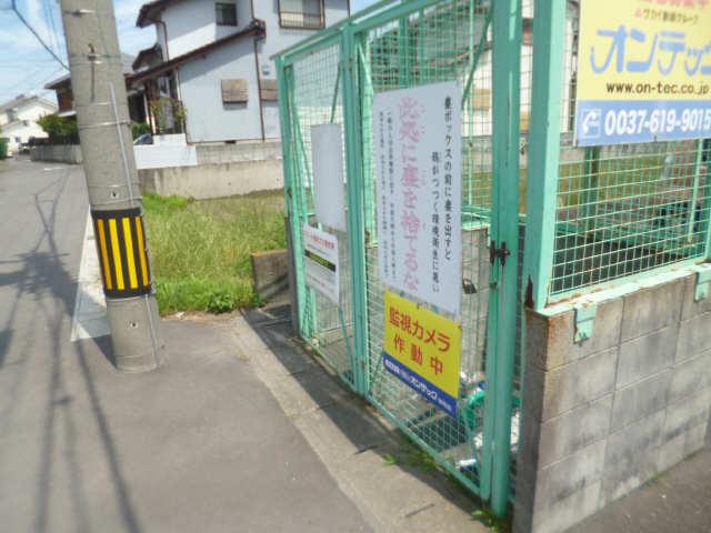 SUN FLOWER 正木 I