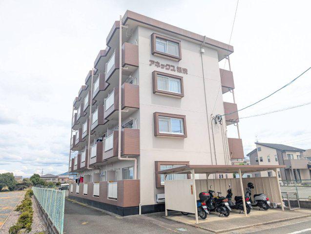 アネックス根洗