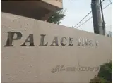 PALACE FIRST Q
