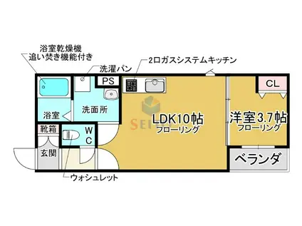 AGRE石橋(1LDK/3階)の間取り写真