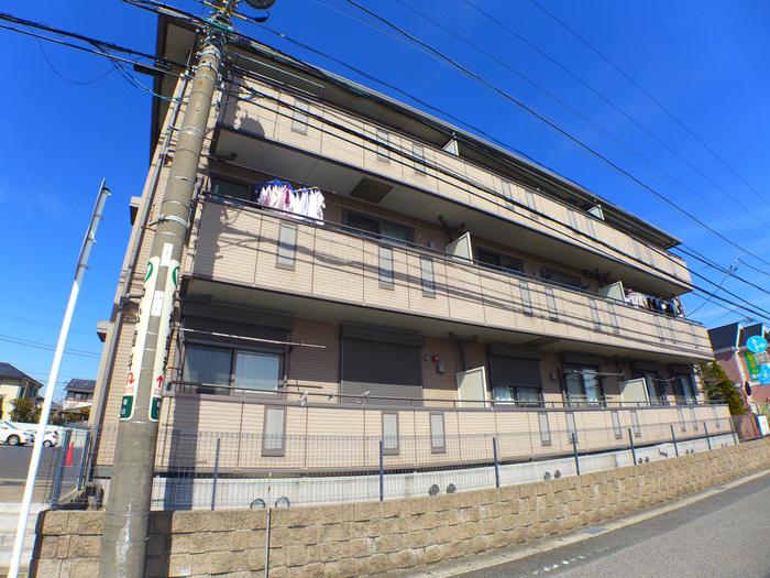 セジュール山の根