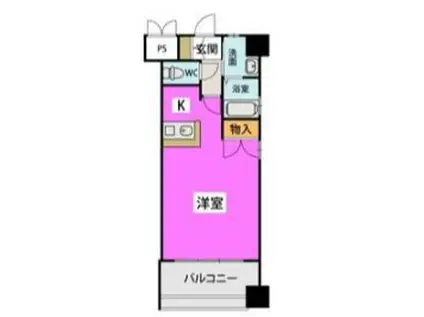 カーサ・アミータ(1K/4階)の間取り写真