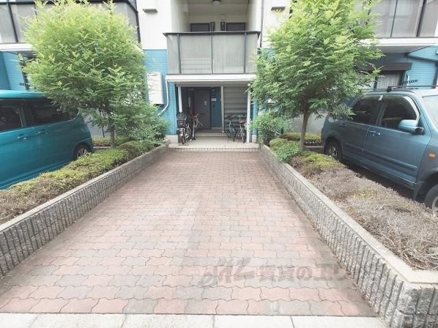 コートジュネス