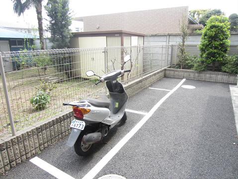 ラソフェルサ