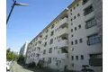 金剛第三222棟