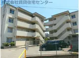 ヤマイチPLAZAシカゴ