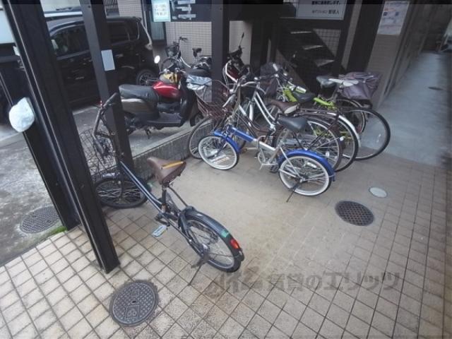 ルピナス321