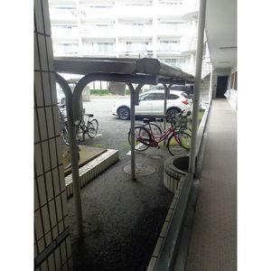 カーサイズミ
