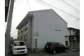 フェアリーメープル