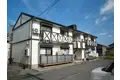 フレグランスオオクラ