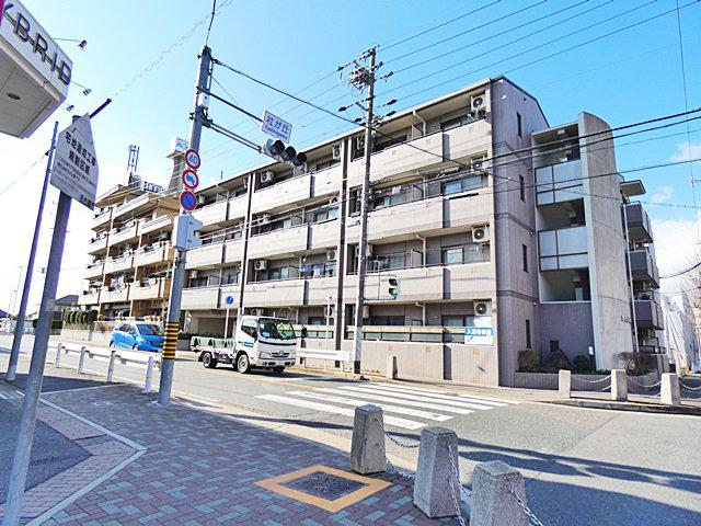 YOUNGVILLAGE2