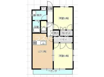 サンフラワーII(2LDK/1階)の間取り写真