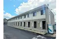 レオネクストガーデニア